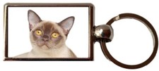 Burmese Cat Pet Luxury Double