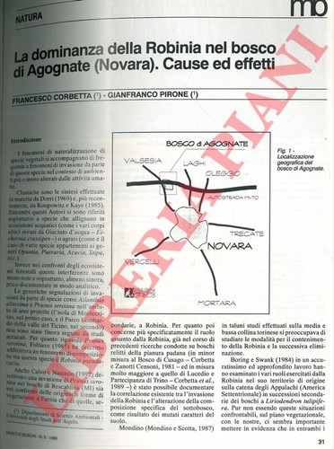 Corbetta francesco pirone - francesco,