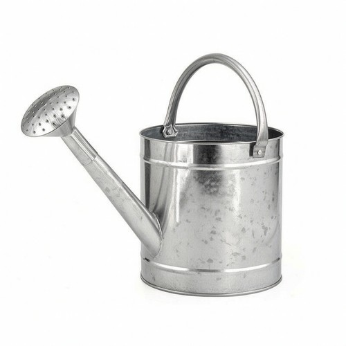 Annaffiatoio con soffione - annaffiatoio,