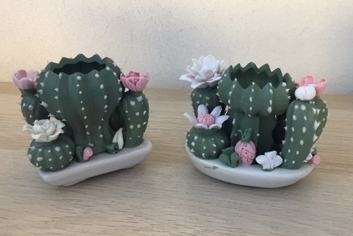 Cactus porcellana set - cactus,