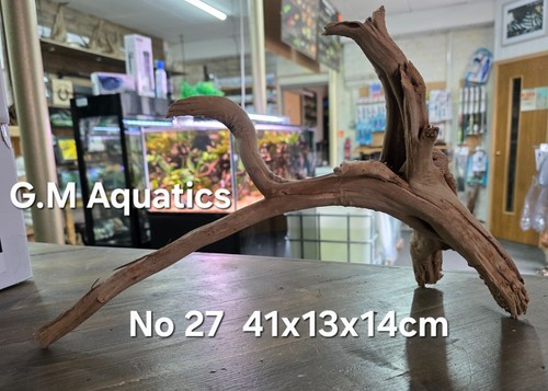 Acquario acquascape - acquario,