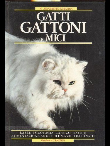 Gatti gattoni mici - gattoni,