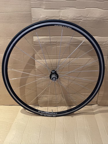 Rueda trasera campagnolo - rueda,