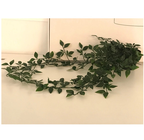Ikea fejka pianta artificiale - ikea,