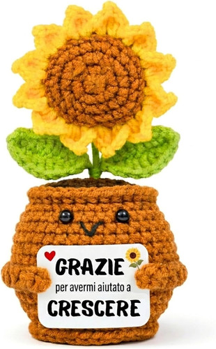 Regalo maestra insegnante - maestra/insegnante, –