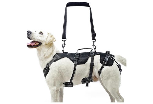 Imbracatura sollevamento cani - sollevamento,