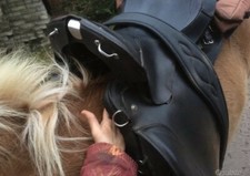 Sella cavallo trekking Daslo, nera, seggio sospeso