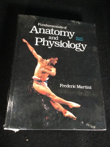 Fundamentals anatomy and - fundamentals, of