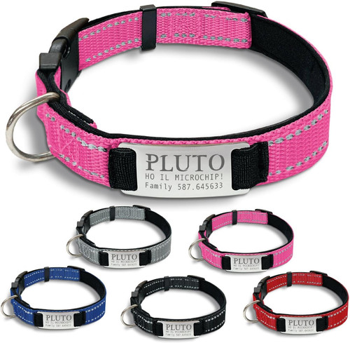 Gruppo collare cane - gruppo,