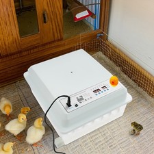 Incubatrice per uova con
