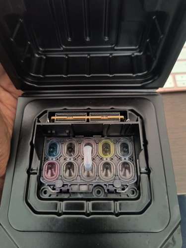 Testina stampa epson - stampa,