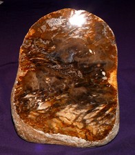 Legno Pietrificato Mirto