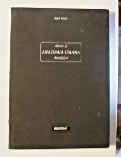 Pp460 angelo farina atlante - farina,