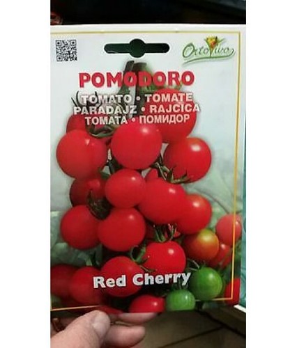 Buste semi pomodoro - di,