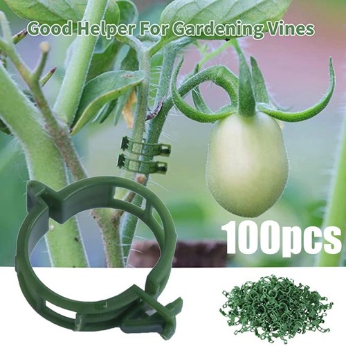 Clip giardino 100pz - da,