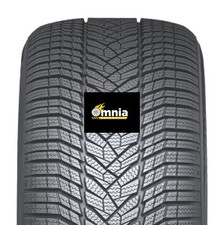 Pneumatici Auto NEXEN WI-SP3