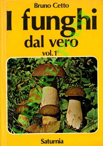 Cetto bruno funghi dal - cetto,