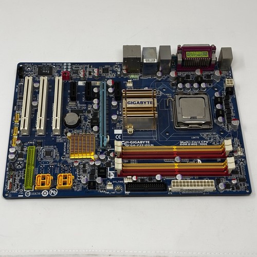Scheda madre gigabyte - madre,