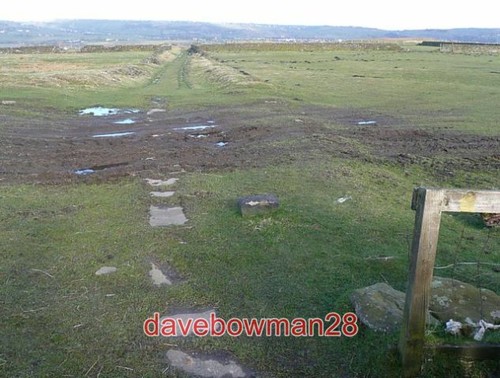 Photo track hunter - photo,
