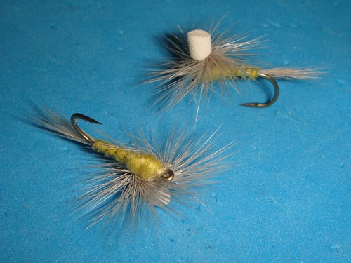 Fly fishing flies - fly,