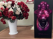 Dom Pérignon manichino