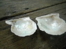 Antico Vecchio Raro 2 Piccolo