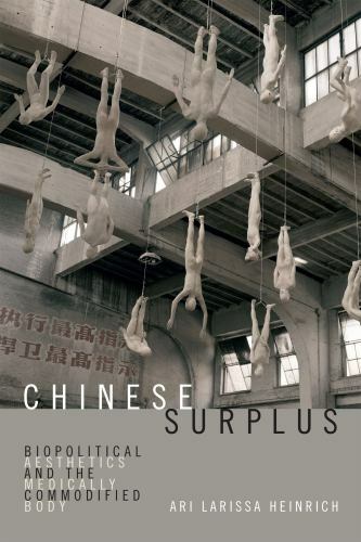 Chinese surplus biopolitical - chinese, :