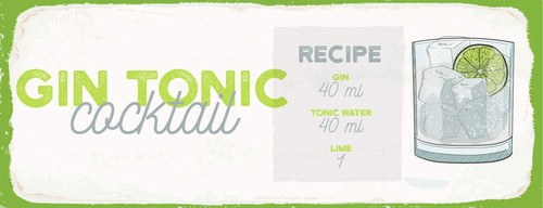 Targa legno 27x10 gin tonic - targa,