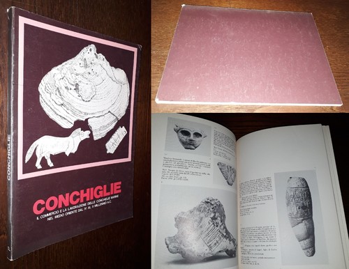 Conchiglie commercio e - conchiglie,,