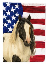 Gypsy Vanner Piebald American