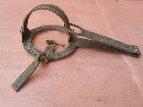 Antica rarissima vecchia - rarissima,