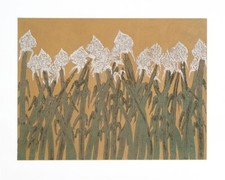 Hassan Fathi 100x125 campo di cotone oro serigrafia materica