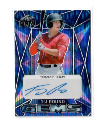 2024 leaf metal - tommy, troy
