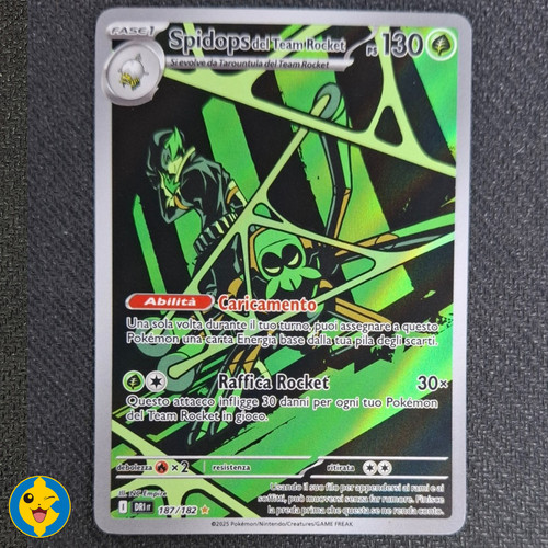 Spidops del team - spidops, rocket