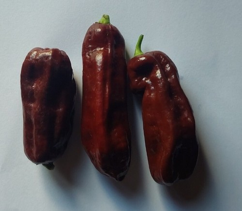 Semi peperoncino - di,