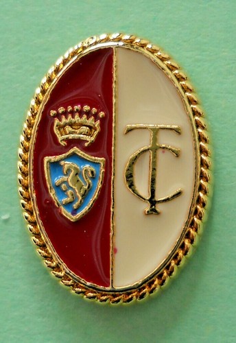 Distintivo spilla pin badge - pin,