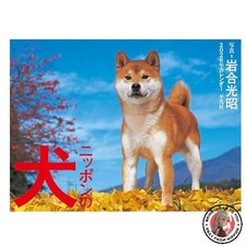 NUOVO CALENDARIO 2026: cani