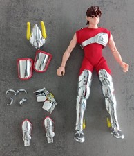 Pegasus Cavalieri dello