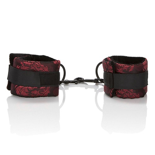 Calexotics scandal universal - calexotics,