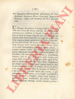 Gagliardi gaetano maria - maria,