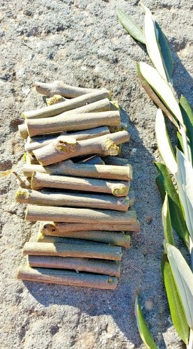 Legno ulivo tronchetti - legno,
