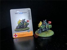 Infinity DPS verniciato