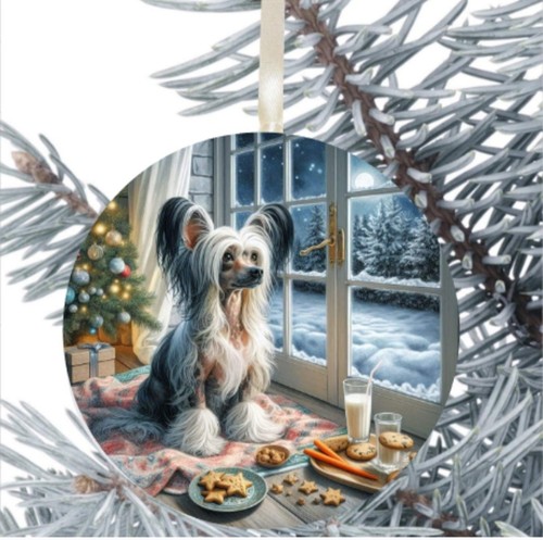 Regalo cane crestato cinese