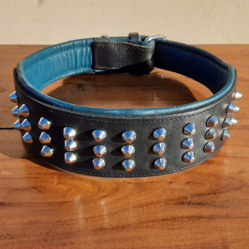 Nuovo collare per - cani, largo