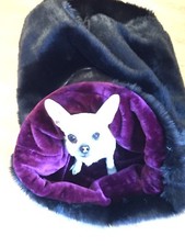 LUSSO GRANDE CHIHUAHUA