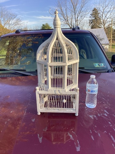 Bird cage french - bird,