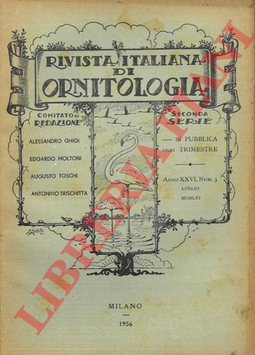 Rivista italiana - rivista,