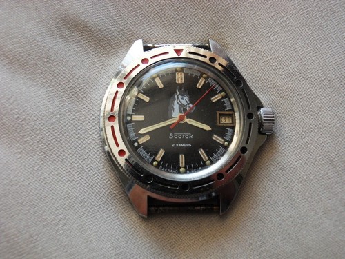 Vostok cavallo anfibio