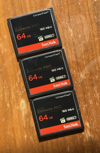 Scheda flash compatta sandisk - flash,