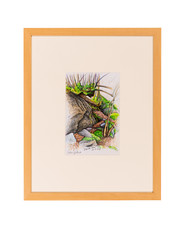 Piero GILARDI - "Prà del